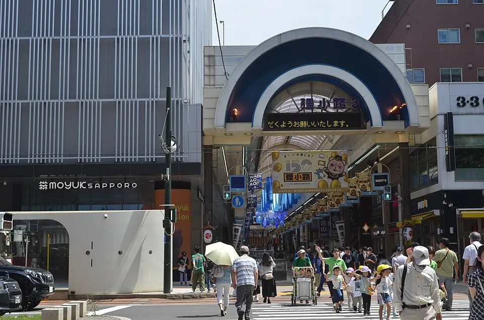 Streetscape of Tanukikoji & Susukino